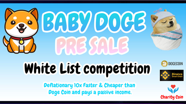 Baby doge exchange list